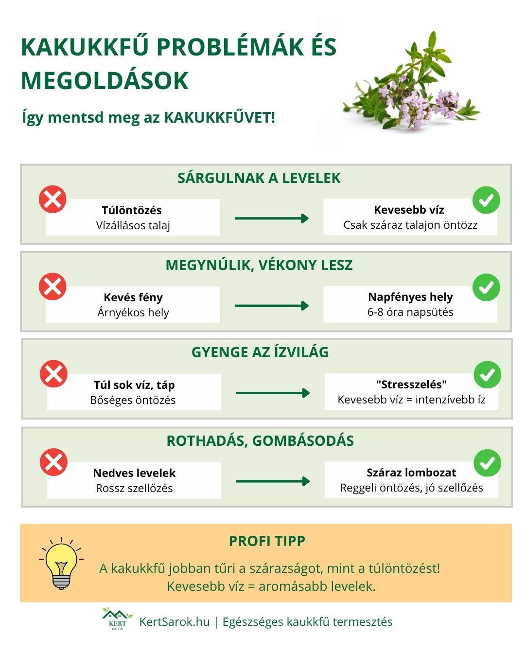kakukkfű infografika - problémák és megoldások