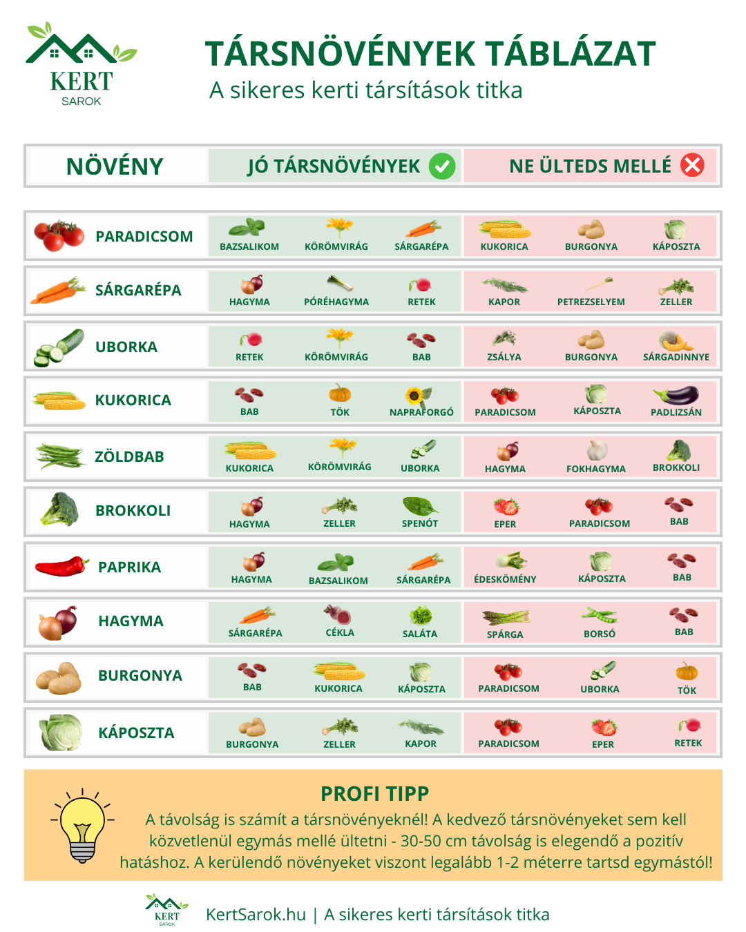 társítások infografika