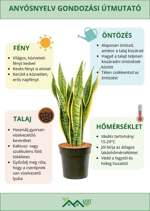 ANYÓSNYELV GONDOZÁSI ÚTMUTATÓ INFOGRAFIKA