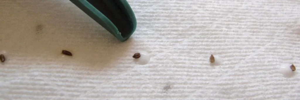 vetőszalag készítés